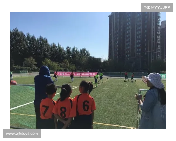 探秘英冠联赛激情赛场揭示绿茵背后的荣耀与奋斗故事